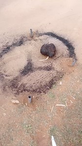 Oki ite pot of wealth ( 09072126363 ) Awele for business going fast Get back your Ex Afa consultation If you want to belong and get money, riches, powers, wealthy, Summon who is owning you and refuse to pay Call or Whatsapp me ( 09072126363 ) Sydney Talker | Akunarata ugo | Facebook