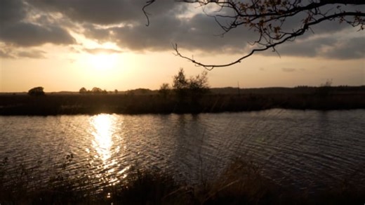 Free video - Nature, Sunset, Afternoon, Trees