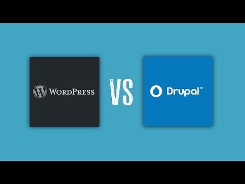 Drupal Vs WordPress - Which Is The Best CMS?
