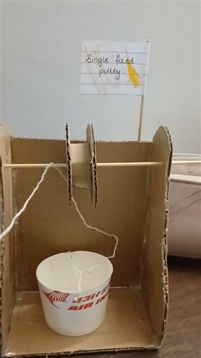 ICSE Class 10 Single Fixed Pulley Working Model | Physics Project 2027 #icse