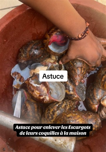 Astuce pour enlever les escargots de leurs coquilles