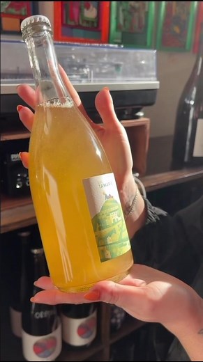 The cutest little natural wine bar in West Seattle! 🍷 If you can’t find me this summer, odds are i’m at Sebastiano’s 😏 #winebar #seattle #seattlerefined