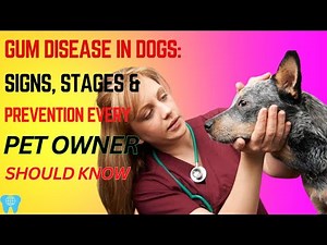 Gum Disease in Dogs: Signs, Stages & Prevention Every Pet Owner Should Know