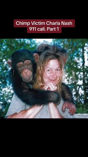 In February 2009 a woman in Stamford (Connecticut) was attacked and seriously injured by a pet chimpanzee who lived with a 70 vear-old woman. The animal was shot dead by the police after he assaulted an officer in his car. #911 #911calls #fypシ #fypage #foryoupage #foryoupage #story #redditstories #reddit #crime #crimejunkie #crimestories #what #viral #truecrime #chimpanzee #chimp #charlanash #zoo