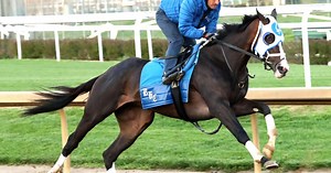 Derby Daily | Insight on horses, trainers and connections for Kentucky Derby 151