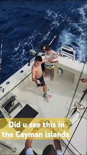 Seen this in the Cayman island# things to do in cayman # #grandcayman #cayman #caymankind