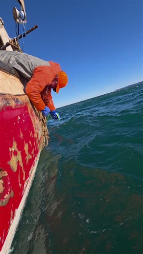 Lobster Fishing Basics: Tips and Lessons Learned