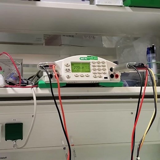 Jello: 3D Printed Protein Gel Electrophoresis (Working!)