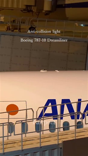 Anti-collision light💡 アンコリライト集。飛行機に取り付けられた、点滅する高輝度のライト。どのアンコリが好きですか？ #aviations #aviationvideo #空港 #航空 #飛行機動画 #飛行機のある風景 #fuk_ﾘﾎﾟｽﾄ部 #hikouki_club #artphoto #fukuokapics #福岡空港 | イガラシ フミヒコ