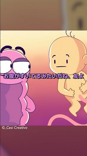 赤ちゃんのための胎盤の役割
