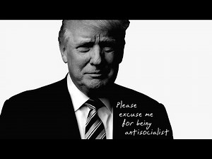 Trump sings The Box (Donny Rich - The Wall)