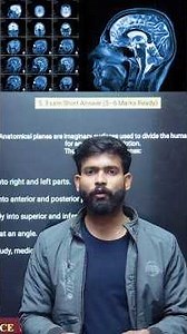 How to read CT scan Image and X-Ray Image #doctor #planes #bscnursing