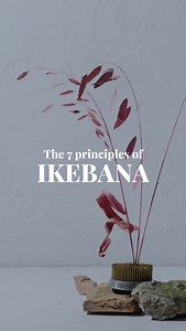 For centuries, Japan has been telling the story of its way of life in a quiet art of floral arrangement called ikebana. The most beautiful ikebana follows seven principles: silence, minimalism, line, form, humanity, aesthetics and structure. Learn the art of ikebana in a workshop at Kinse Ryokan, located just a 10-minute drive from パークホテル京都御池 Park Hotel Kyoto. Book now here: bit.ly/3WoSgcB #ParkHotelGroup #TravelWithPHG #ParkHotelKyoto #Japan #IkebanaArt | Park Hotel Group