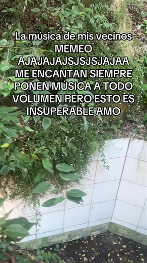 La música de mis vecinos: insuperable diversión