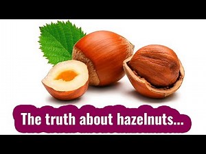 Hazelnut Benefits and Side Effects. You should know that...