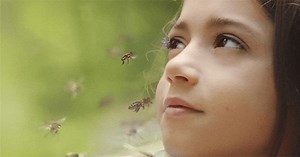 20,000 Species of Bees - Movie 2023  - Dir. Estibaliz Urresola Solaguren | Filmelier