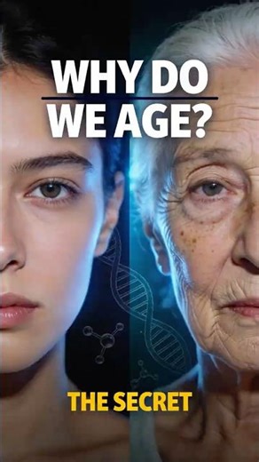 Why Do We Age? The Secret of Getting Old.
