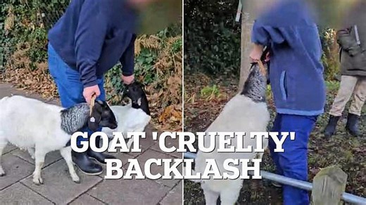 Family attaction faces backlash after 'cruelty' to goats