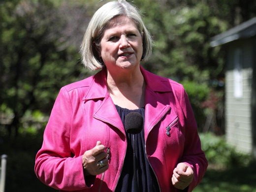Hamilton Mayor Andrea Horwath suing to evict ex, demolish run-down home
