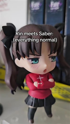 Meet Saber: Iconic Encounters in Fate Series