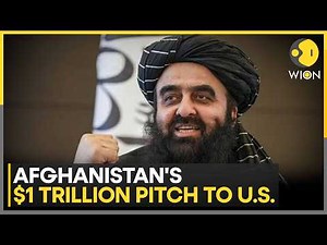 Afghanistan's Taliban Pitches $1 Trillion In Mineral Wealth To US Investors | WION