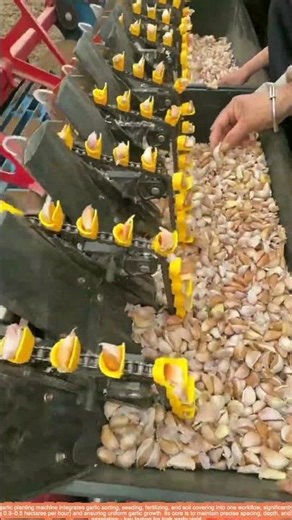 Craft Knowledge of Full-Automatic Garlic Planting Machine Operation Process