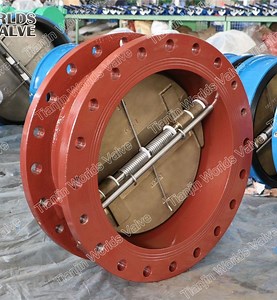 [Hot Item] Double Plates Check Valve with Double Flanges Connection