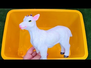 Best learn Wild Zoo Animals Box of TOys Preschool Toddler Learning Toy Video
