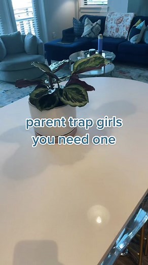 Channeling My Inner Hallie with Parker Knoll Shirt