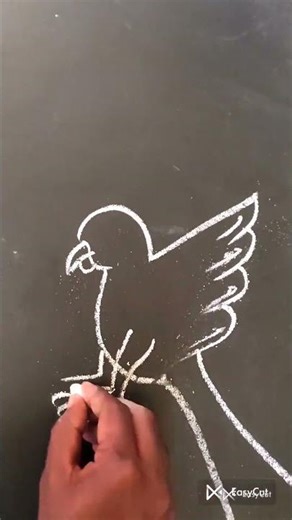 "Beautiful Parrot Drawing in 30 Seconds | Easy chalk Bird Art #ytshorts #ytshortsindia #shorts"