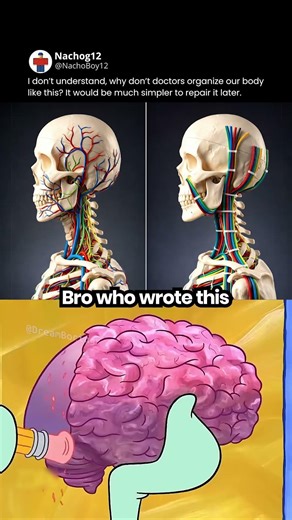 Real life cable management? 🧠🔌 #aa23