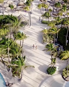 6K views · 256 reactions | The day is finally here! Who's ready for a sun-kissed getaway? We look forward to welcoming you all back to our resort in a fun, safe and relaxing way. See you soon! #ArubaAwaits | Hilton Aruba Caribbean Resort & Casino | Facebook