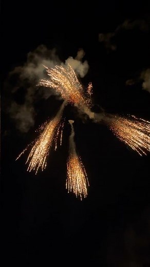 Dancing waterfall 500g by raccoon fireworks NEW #shorts #fireworks