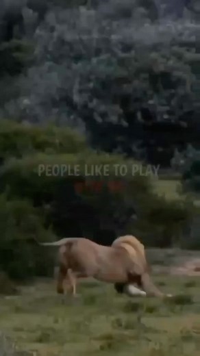 😇😅 | Anthony Accomando