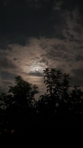 Explorando la Belleza Nocturna: Fotos y Videos de la Luna y Paisajes