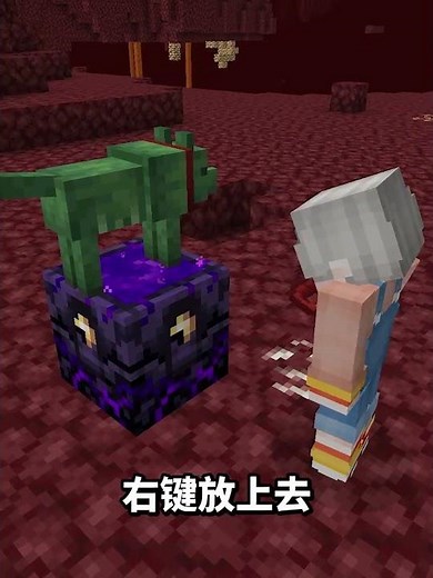 让宠物复活的模组~