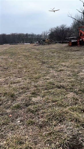 first and last flight of the sdm yellow bee 🤦‍♂️ #sdm #rcairplane #rc #rcaircraft