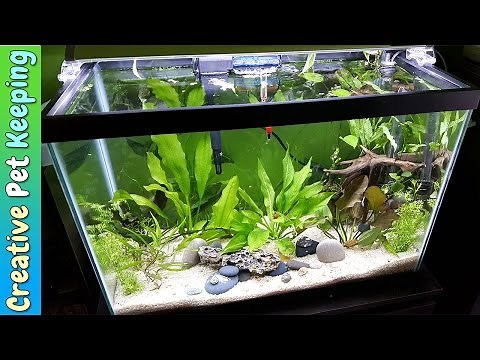 HOW TO setup a 20 Gallon Planted Aquarium 🌱🌿💧 Substrate and Supplies