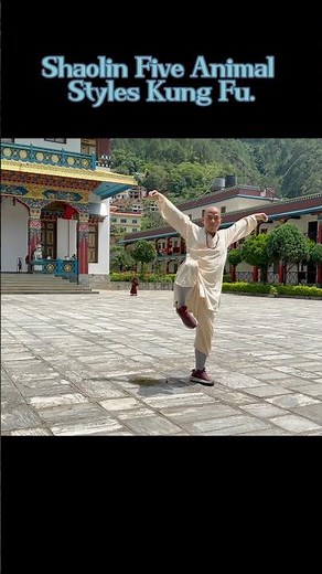Five Animal Styles of Shaolin Kung Fu