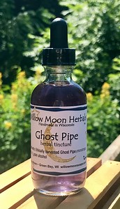 Ghost Pipe Tincture Monotropa Uniflora, Flower in Bottle, Indian Pipe ~willow Moon - Etsy