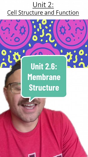 Unit 2.6: Membrane Structure #biology #apbiology #apbio #membrane #phospholipid #science #cell #cellmembrane #unit2