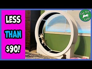 Best DIY Cat Running Wheel, Not Made From Wood!