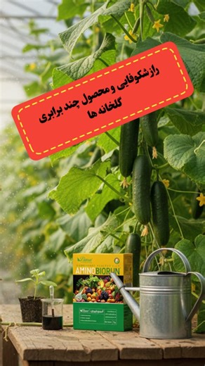 ‎داروخانه گیاهپزشکی بایوران-استان مرکزی‎ | ‎وقتی علم وارد خاک می‌شود… 🌱 آمینوبایوران، ترکیبی هوشمند از اسیدهای آمینه و باکتری محرک رشد گیاهی Bacillus velezensis این فقط رشد نیست… این...‎ | Instagram