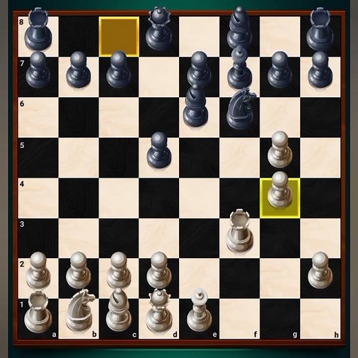 Human vs computer who will win (Chess YT)