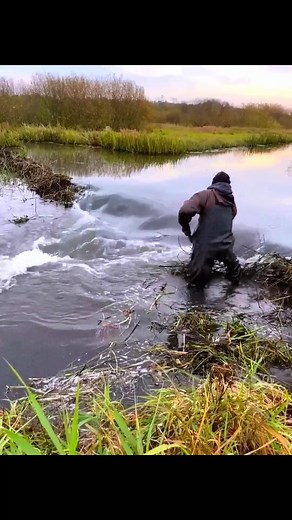 13K views · 170 reactions | One man taking down a beaver dam using only hand tools and pure effort. #beaverdamremoval | The Video Corner | Facebook