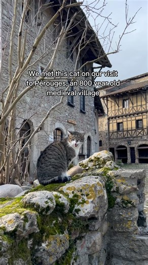 Oh to be a French cat in a medieval village getting head scritchies all day 📍 Pérouges Follow along @voyagewithmc to see more of France with us! #explorefrance #visitfrance #francetourism #perouges | Voyagewithmc