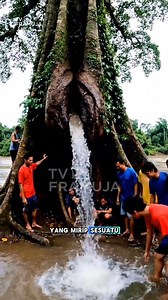 2.4M views · 25K reactions | Airnya terus mengalir.. spring water from inside the tree. #reelsfb #mataair #airkeluardaripohon #pohonajaib #AIvideo #AIcontent | Ahmad Framuja | Facebook