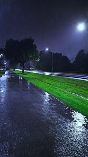 @coldvisions_ on Instagram: "rainy walk"