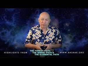Bashar :: The Forest Path, The Animal Path & The Elemental Path - Highlights