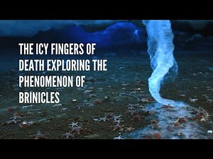 the Icy Fingers of Death Exploring the Phenomenon of Brinicles
